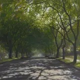 Fredric Dalkey, Driving Down 4th Avenue, oil on linen