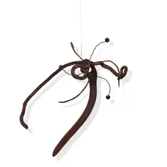 James Surls, Untitled, wood