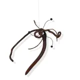 James Surls, Untitled, wood