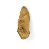 Lynda Benglis, Santa Fe Gold Mask I