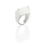 DeWain Valentine, Squared Ring