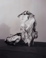 Sculpture by Sarah Conaway, 2015, c-print on aluminum, offered Sep 2023