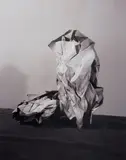 Sarah Conaway, Sculpture, 2015, c-print on aluminum