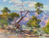 Curt Walters, Tree in a Canyon (Grand Canyon), oil on canvas