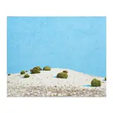 John Hogan, Desert Landscape, oil on canvas