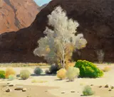 Jimmy Swinnerton, Canyon Shadows