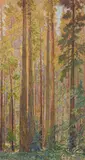 Gunnar Widforss, Redwood Trees, watercolor on paper