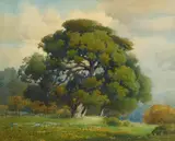 Percy Gray, Oak Tree, Poppy and Lupine, watercolor on paper
