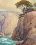 Percy Gray, Monterey Cypress Perched on a Rocky Cliff