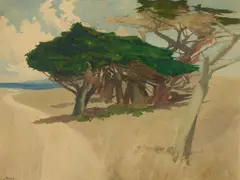 Francis McComas, Monterey Cypress, watercolor on paper