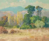 Maurice Braun, Eucalyptus in Rolling Hills, oil on canvas