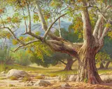 Paul Grimm, Tree Majesty, oil on canvas