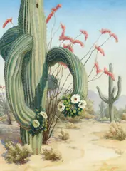 Louise Everett Nimmo, Desert Scene with Saguaro, oil on canvas