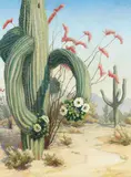 Louise Everett Nimmo, Desert Scene with Saguaro, oil on canvas