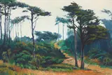 Jian Wang, A Pass at the Golden Gate Park, oil on canvas