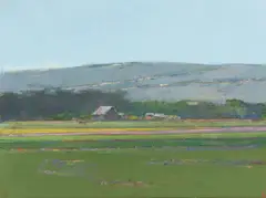 Terry DeLapp, Flower Field- Lompoc, 2001, acrylic on canvas