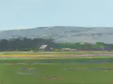 Terry DeLapp, Flower Field- Lompoc, 2001, acrylic on canvas