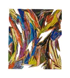 Charles Arnoldi, Sister Fletcher, 1986, acrylic on plywood, diptych