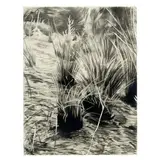 Loie Hollowell, David in the Tall Grass, circa 2004, charcoal and collaged paper on paper