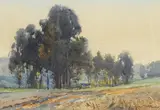Percy Gray, A Row of Trees, watercolor on paper