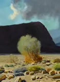 Jimmy Swinnerton, Smoke Tree
