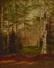 Edith Cook, Birch Tree Landscape, oil on canvas