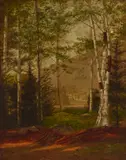 Edith Cook, Birch Tree Landscape, oil on canvas