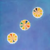 Arthur Okamura, Glowings I, oil on canvas
