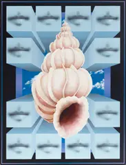 Charley Brown, Shell with Lip Cubes, acrylic on canvas