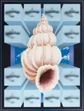Charley Brown, Shell with Lip Cubes, acrylic on canvas