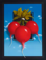 Charley Brown, Three Radishes, acrylic on canvas