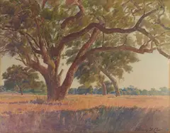 Norman St. Clair, San Marino Oaks, watercolor on paper laid to board
