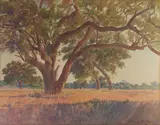 Norman St. Clair, San Marino Oaks, watercolor on paper laid to board