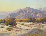 Paul Grimm, Desert Floor, oil on canvas laid to plywood