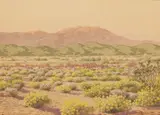 Henry Raschen, The Desert in California, watercolor on paper