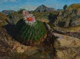 Travis Keese, Desert Cactus, oil on canvas