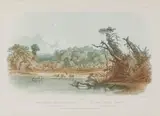 Karl Bodmer, Punka Indians Encamped on the Banks of the Missouri, n.d., Engraving printed in blue and brown without the hand-coloring on wove paper