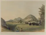 George Catlin, Buffalo Hunt, Approaching in a Ravine from The North American Indian Portfolio, c. 1844, Lithograph with hand-coloring on wove paper