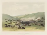 George Catlin, Buffalo Hunt, Surround No. 9, 1844, Lithograph with hand-coloring on wove paper