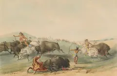 George Catlin, Buffalo Hunt, Chase, from the North American Indian Portfolio, c. 1844, Lithograph with hand-coloring on wove paper