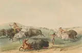 George Catlin, Buffalo Hunt, Chase, from the North American Indian Portfolio, c. 1844, Lithograph with hand-coloring on wove paper