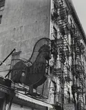 Poultry Store. East 7th Street, Manhattan by Berenice Abbott, 1936, Gelatin silver print, sold Feb 2023