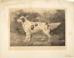 John Martin Tracy, Grebeloth; two untitled head studies (3)