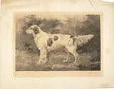 John Martin Tracy, Grebeloth; two untitled head studies (3)