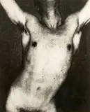 George Platt Lynes, Sans titre, vers les années 1950