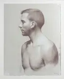Patrick Byrnes, Olivier de profil, crayon marron et craie blanche sur papier viré