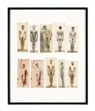 Sans titre (Nus masculins), début 20ème siècle by Allemagne Photographes anonymes, group of 11 gelatin silver prints, 10 presented in a single frame and one unframed print, offered Jun 2023