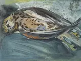 Carl Sprinchorn, Bird