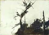 Andrew Wyeth, Cormorants, 1958, watercolor and ink on paper