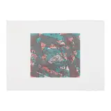 Sam Francis, Salmon (Lembark I. 9, SFE-4B), 1973, Etching and aquatint on Fabriano Rosapina paper